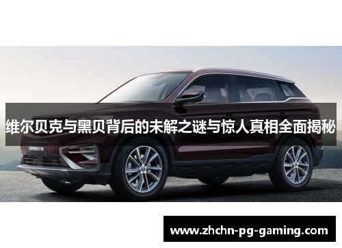 维尔贝克与黑贝背后的未解之谜与惊人真相全面揭秘