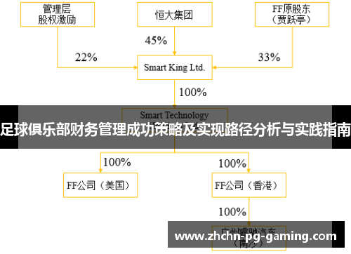 足球俱乐部财务管理成功策略及实现路径分析与实践指南 足球俱乐部财务管理成功策略及实现路径分析与实践指南
