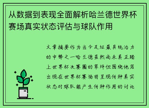 从数据到表现全面解析哈兰德世界杯赛场真实状态评估与球队作用 从数据到表现全面解析哈兰德世界杯赛场真实状态评估与球队作用