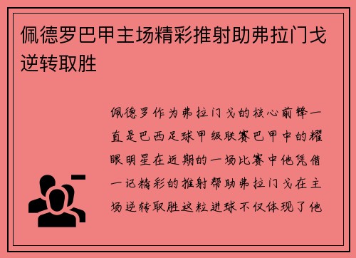 佩德罗巴甲主场精彩推射助弗拉门戈逆转取胜 佩德罗巴甲主场精彩推射助弗拉门戈逆转取胜